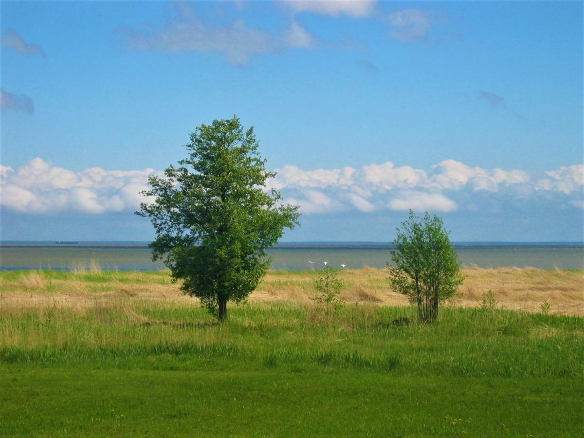 Saulepa Cottage Exteriör bild